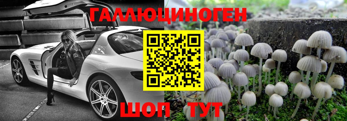 Галлюциногенные грибы MAGIC MUSHROOMS  Вход с VPN  Минусинск 